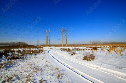 wheel trace and telegraph pole in the snow