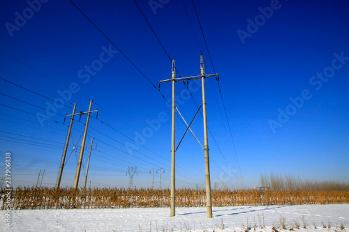 Telegraph poles in the snow