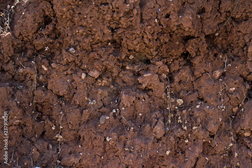 under the ground
