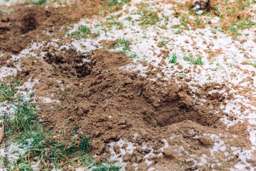 Nature background. First snow on the green grass or ground. 