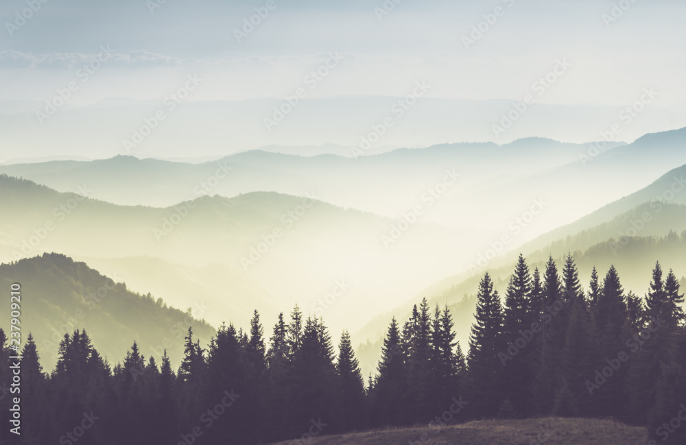 Majestic landscape of summer mountains. A view of the misty slopes of the mountains in the distance. Morning misty coniferous forest hills in fog and rays of sunlight.Travel background.  - obrazy, fototapety, plakaty 