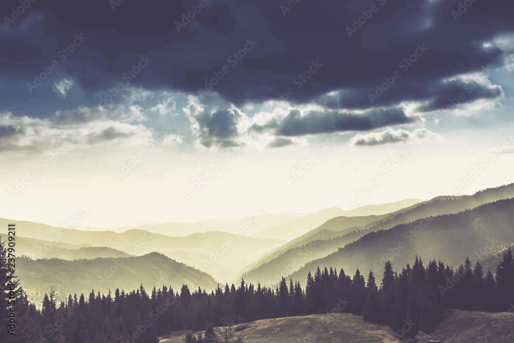 Naklejka premium Majestic landscape of summer mountains. A view of the misty slopes of the mountains in the distance. Morning misty coniferous forest hills in fog and rays of sunlight.Travel background. 