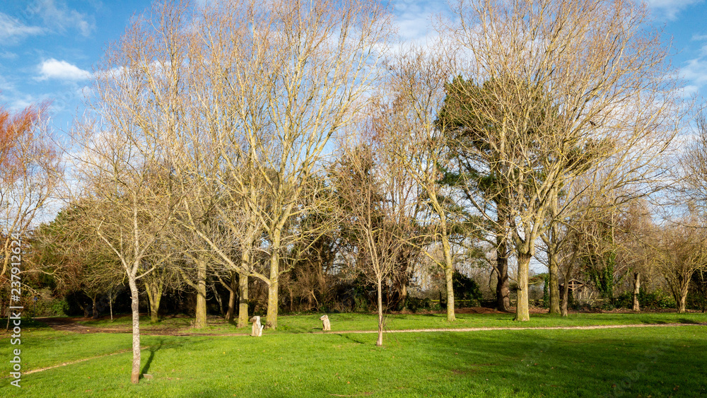 Obraz premium Hiking