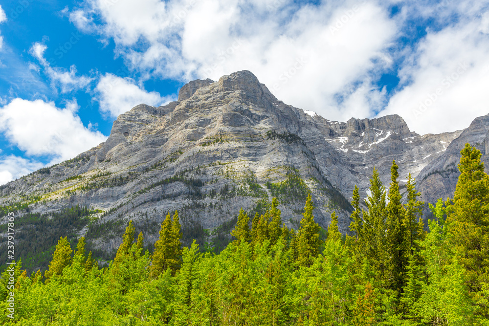 Canadian Rock Mountains through treeline