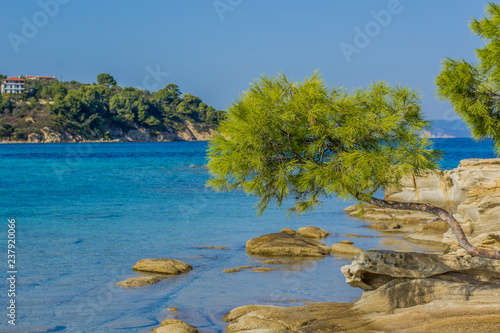 summer vacation and tourist holidays concept of south sea bay lagoon scenery landscape shore line in small island with vivid blue water surface and cedar tree on stone waterfront rocks 