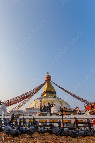 Kathmandu. NEPAL - November  2017  Bouddhanath Stupa. Nepal. Kathmandu. Doves.
