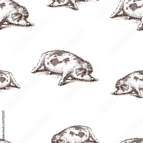 Seamless pattern of a lazy sleeping pig