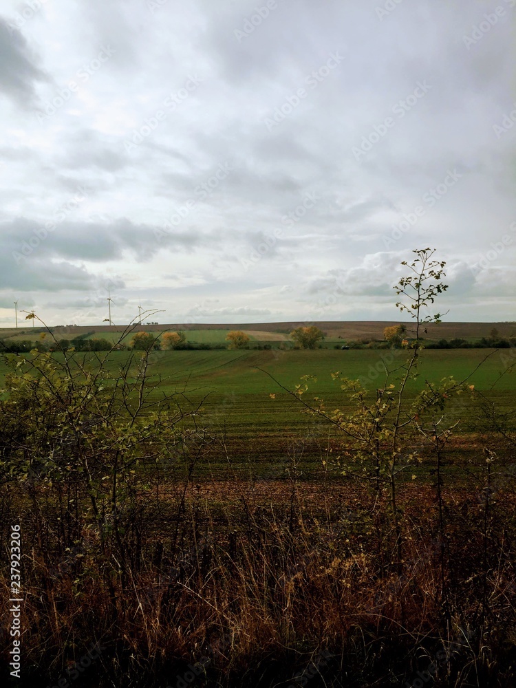 Fototapeta premium Der Weg