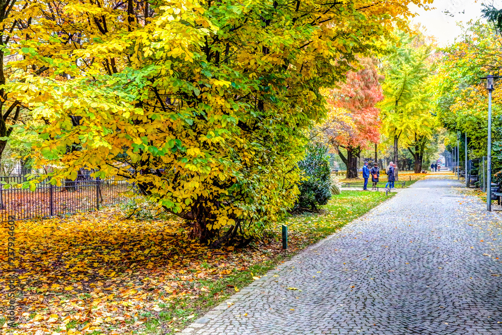 Naklejka premium Walking in the park in the fall