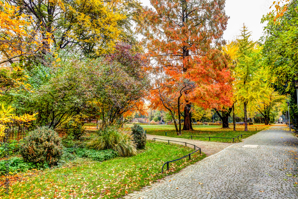 Naklejka premium Walking in the park in the fall