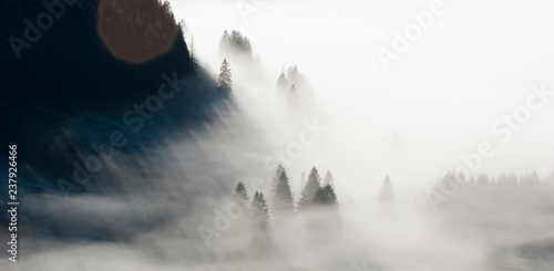 Berg und Wald in Nebel getaucht
