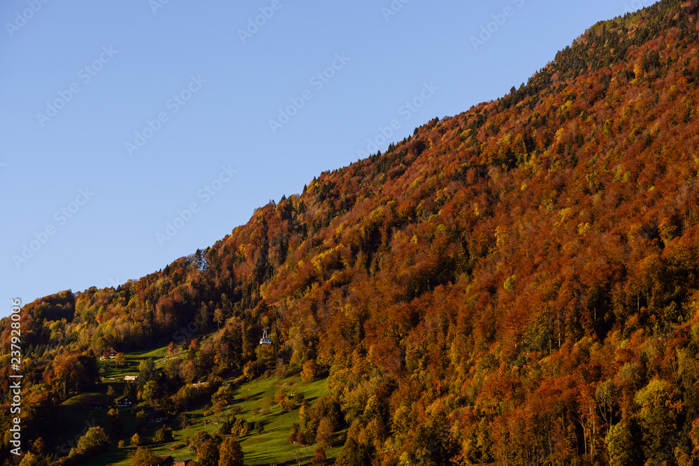 Gondola of Weggis - Kaltbad cable car in autumn Gondola of Weggis - Kaltbad cable car in autumn