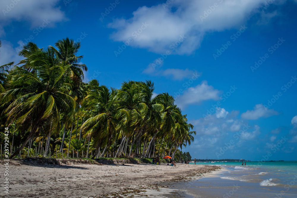 Beaches of Brazil - Maragogi, Alagoas State Beaches of Brazil - Maragogi, Alagoas State