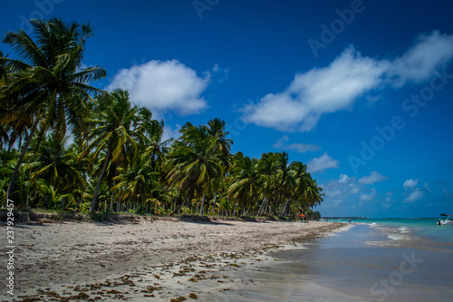 Beaches of Brazil - Maragogi  Alagoas State