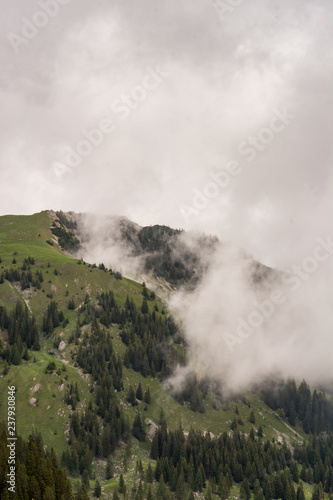 Berge mit Wiesen und Wald von Wolken umhangen in den Alpen