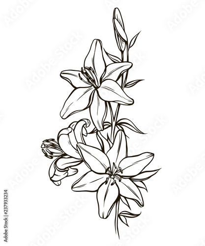 Fototapeta Naklejka Na Ścianę i Meble -  Lily flowers black and white