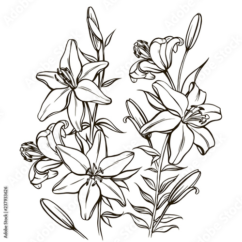 Fototapeta Naklejka Na Ścianę i Meble -  Bouguet of lilies