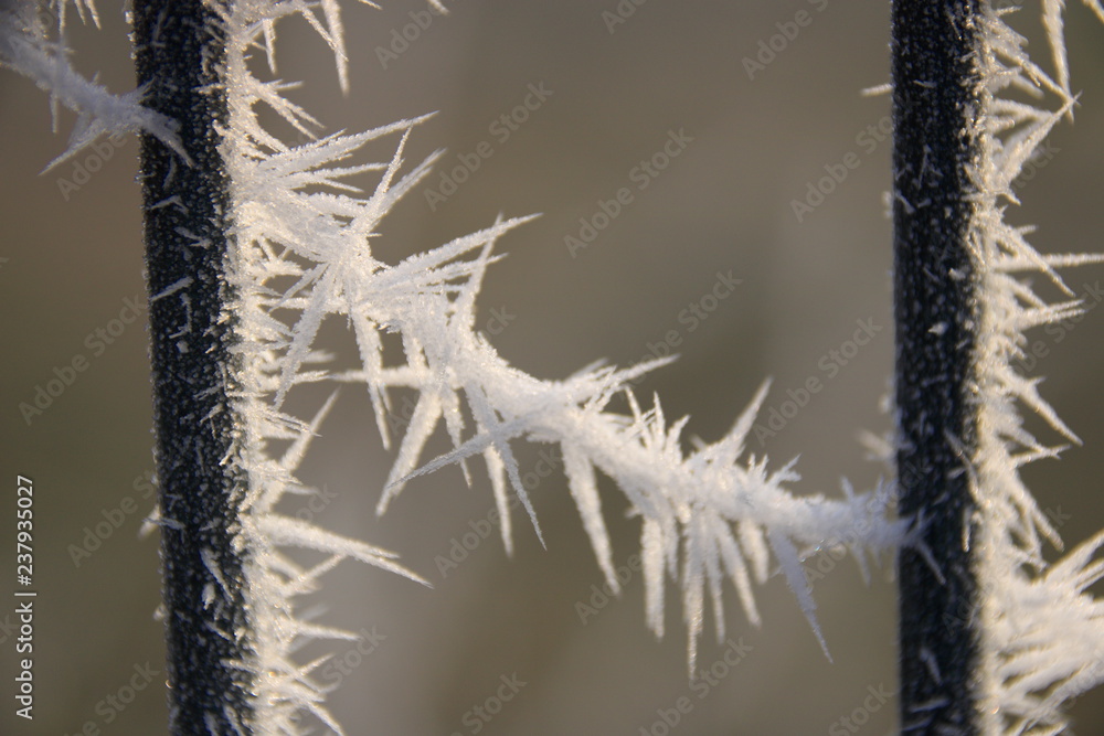 Eiskristalle an einem Gitter aus Draht Eiskristalle an einem Gitter aus Draht