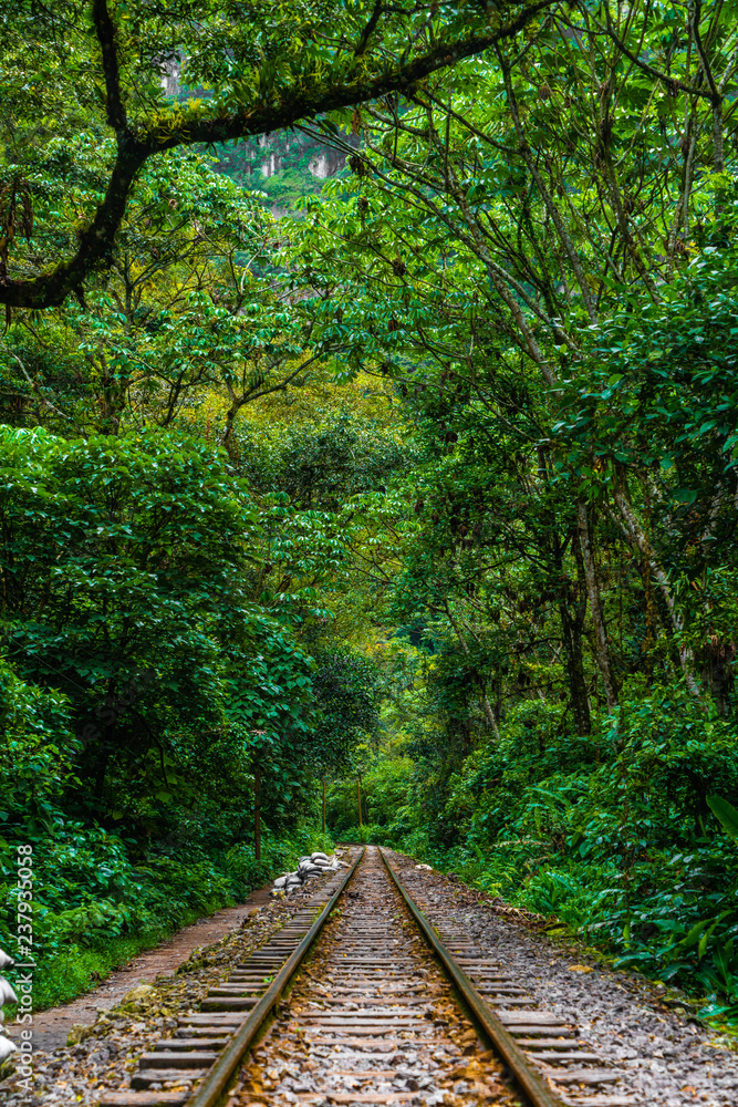 Obraz premium Inca Trail in Peru