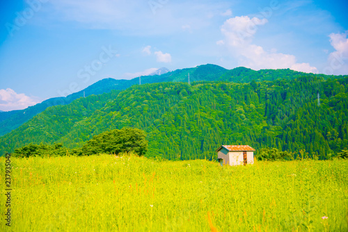 Mountain house in Toyama, Japan. Toyama is one of the important cities in Japan for cultures and business markets.