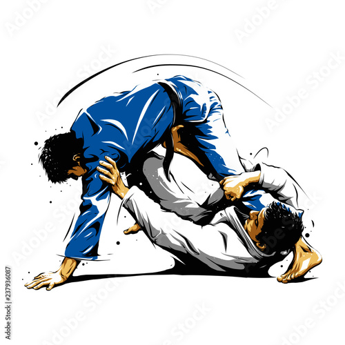 Fotografia Brazilian Jiu-Jitsu action 3