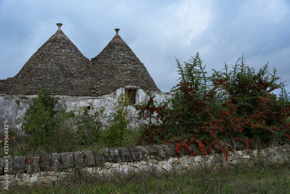 Old traditional Trullo house with stone fence and big bushes with red berries foreground in a village near Alberobello, Puglia, Italy Old traditional Trullo house with stone fence and big bushes with red berries foreground in a village near Alberobello, Puglia, Italy