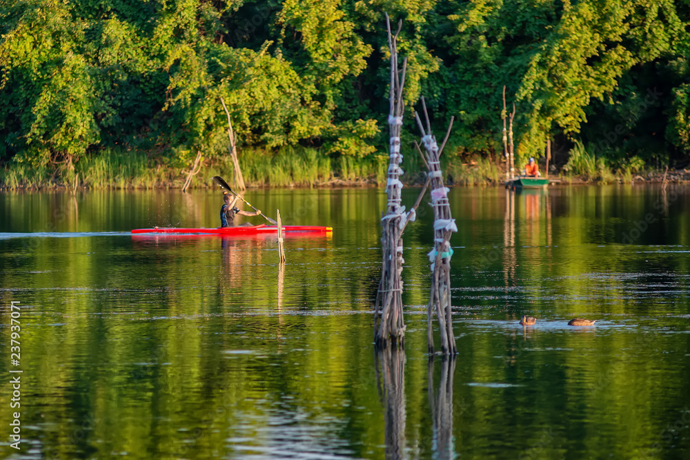 Naklejka premium Novi Sad, Serbia - August 04, 2018: Danube island (Šodroš) near Novi Sad, Serbia. Man in kayak paddling on river.