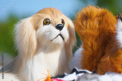Portrait of Soft plush toy dog
