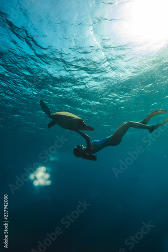 Caucasian cute girl underwater swimming with turtle