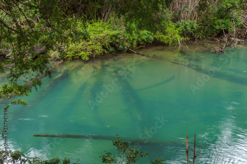 turquoise colored river  nahuel huapi national park  Patagonia  Argentina