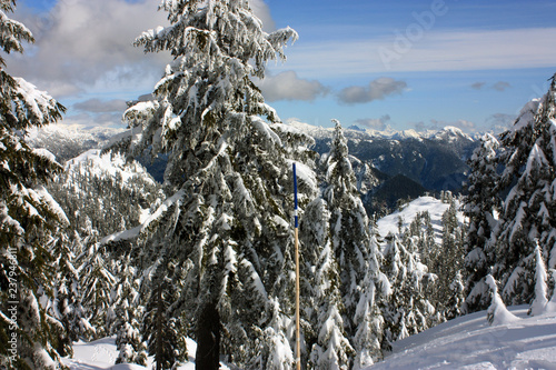 Snowshoe Trail Above Grouse Mountain, BC