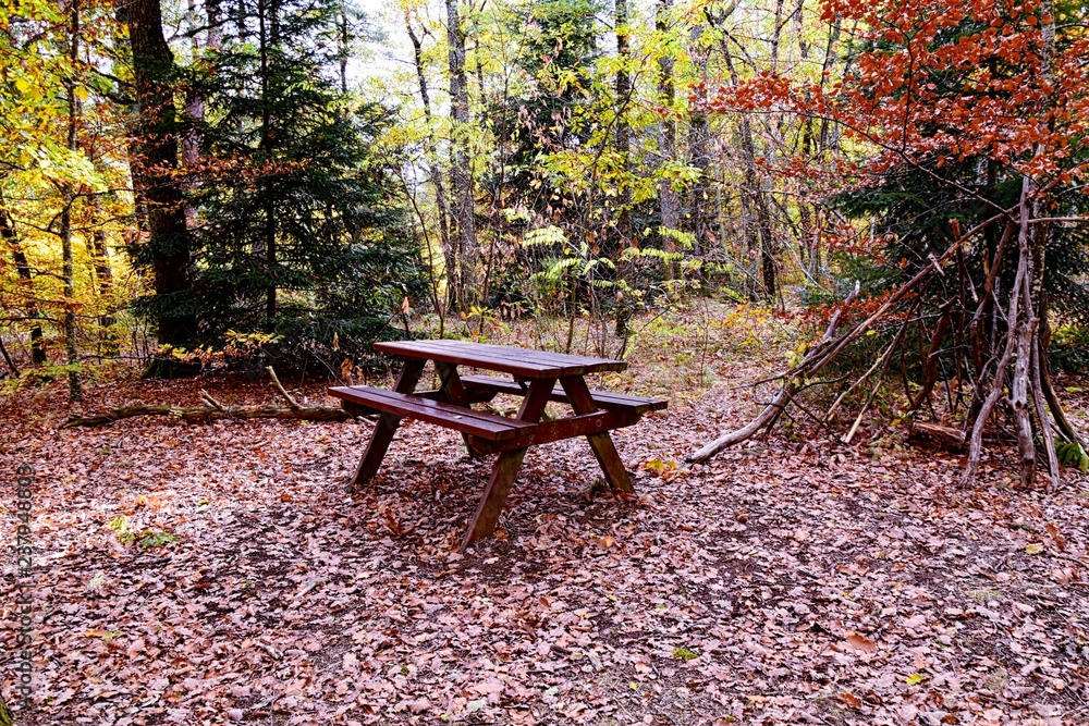 Aire de pique nique en Automne Aire de pique nique en Automne