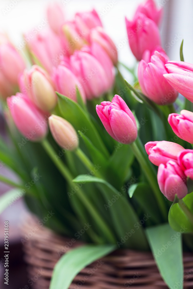 Fototapeta premium huge bouquet of pink tulips in amsterdam