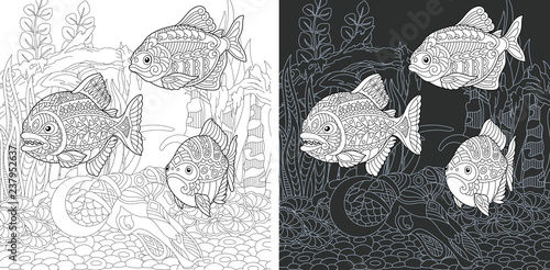 Coloring page with piranha fish