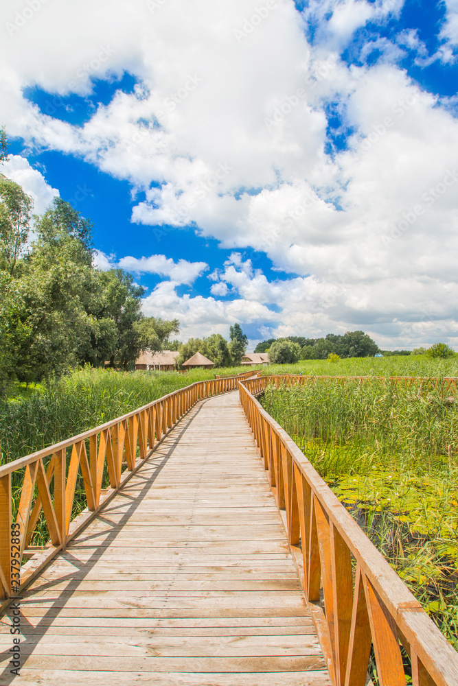 Croatia, Baranja, Kopacki Rit nature park wooden boardwalk view, beautiful countryside landscape, cloudy day