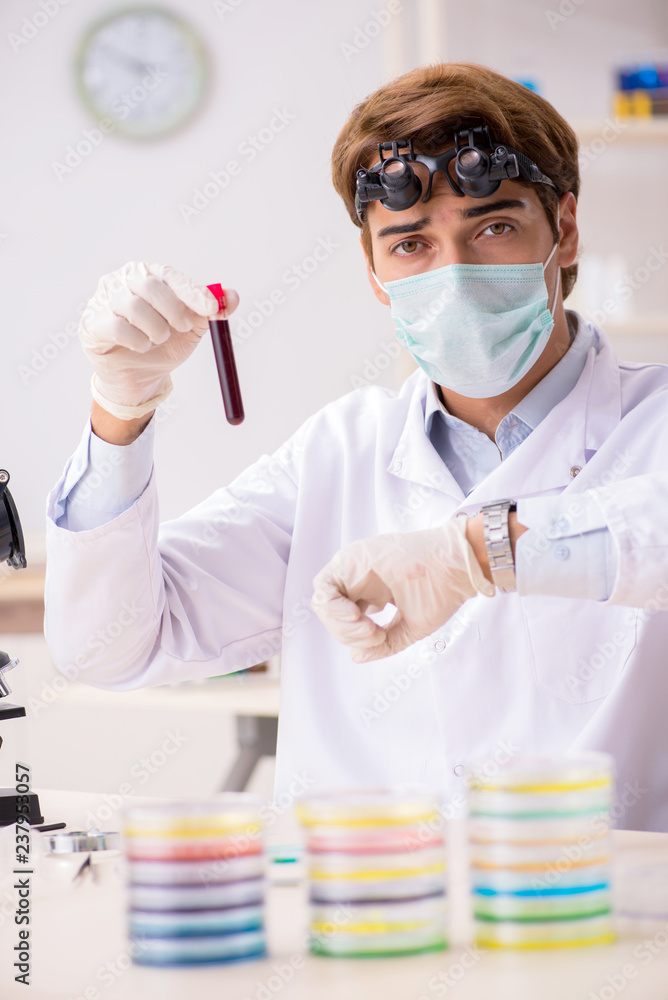 Young chemist working in the lab Young chemist working in the lab