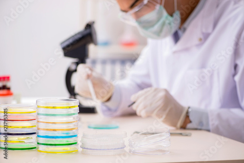 Young chemist working in the lab 