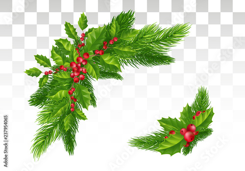 Christmas decorations: Christmas tree branches and holly with red berries. Festive composition. Isolated. Eps10 Vector