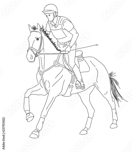 Equestrian event. Rider cantering on a horse.