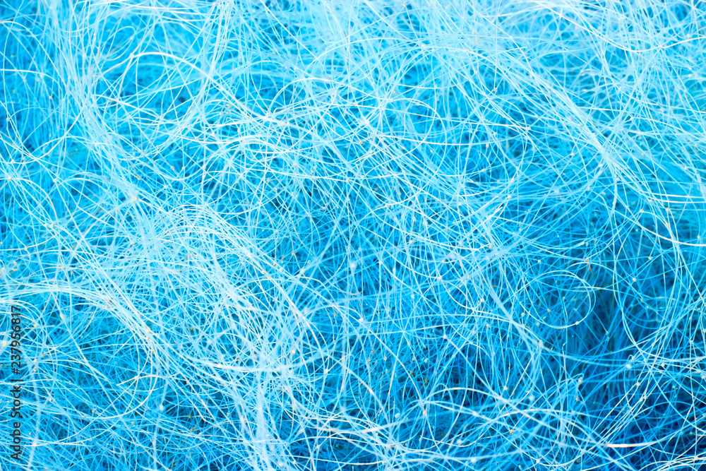 Fototapeta premium Blue fishing line closely resembles Santas beard