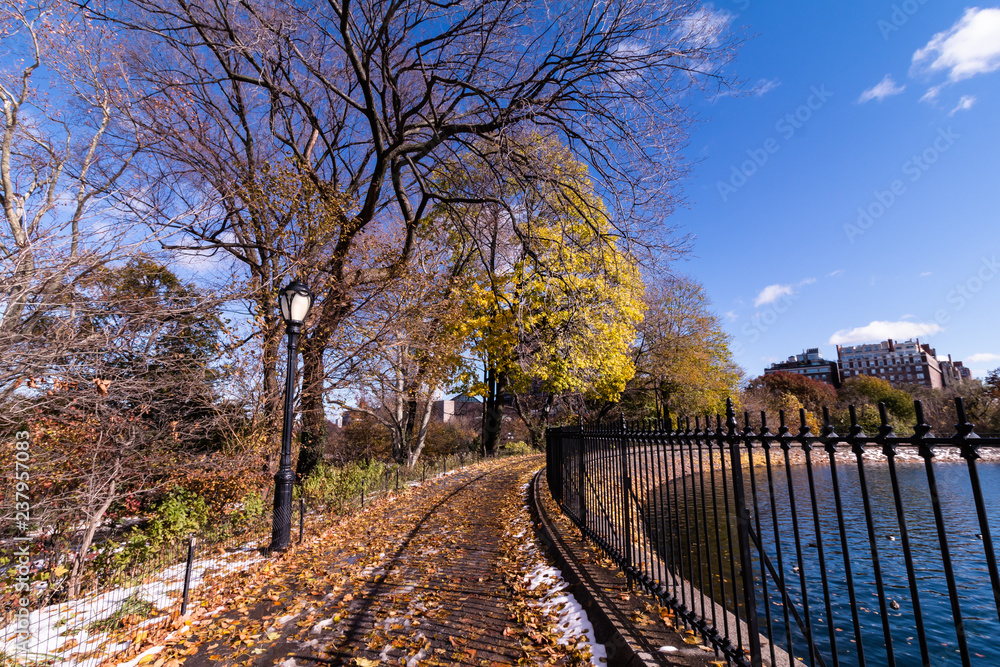 autumn in the park autumn in the park