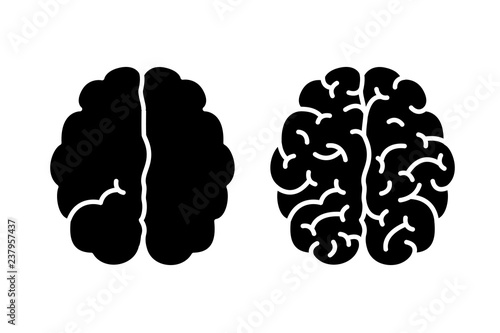 Hemispheres of the brain with one and with many gyrus and with many