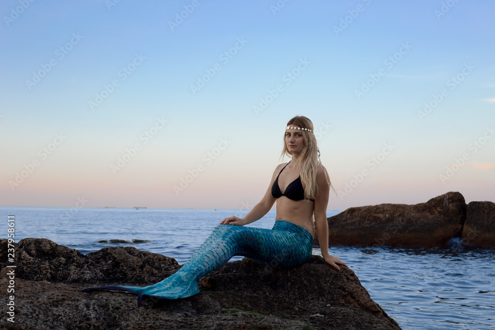 the mermaid is basking on the seashore the mermaid is basking on the seashore