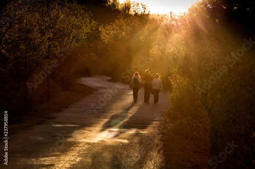 Three people walking in green nature at sunset. Family weekend outdoor activity