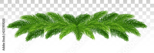 a garland of pine branches. Christmas decor. vector illustration. Eps 10.