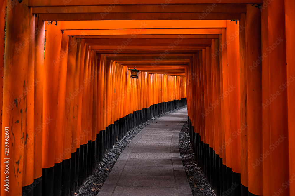 Fototapeta premium A tunnel of torii gates at Fushimi Inari Shrine,An important Shinto shrine in southern Kyoto, Japan