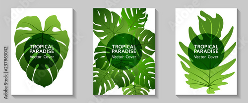 Tropical paradise leaf vector cover layout.