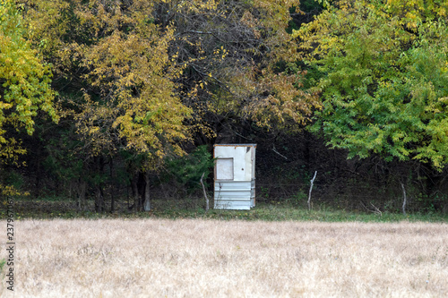 A redneck hunting shack hidden amongst trees on a fall day. photo