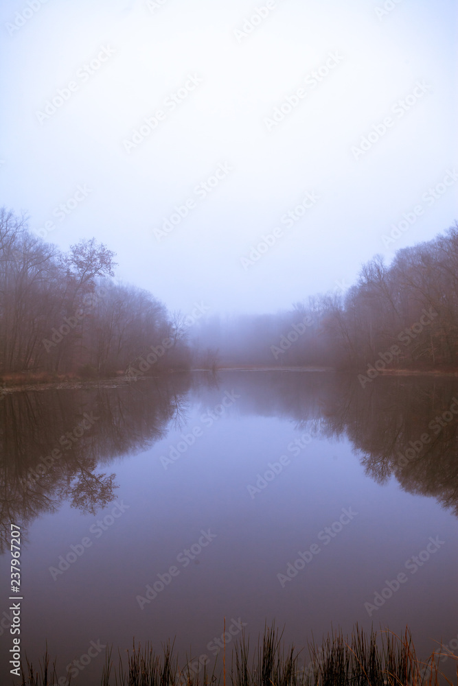 Gloomy lake on a foggy autumn morning
