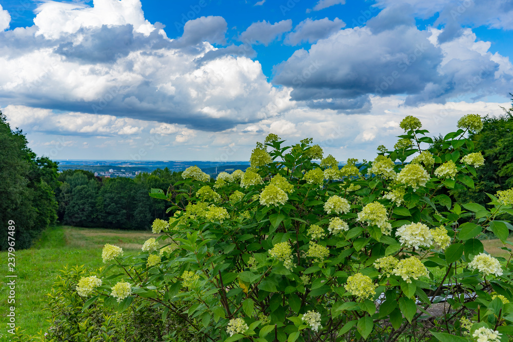 Beautiful cloudy view to Sauerland from Alexanderhoehe